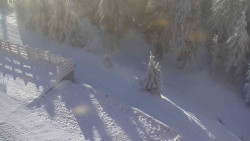 Přístup na běžeckou trať