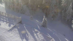 Přístup na běžeckou trať