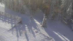 Přístup na běžeckou trať