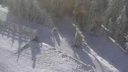 Přístup na běžeckou trať