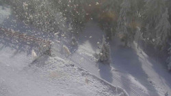 Přístup na běžeckou trať