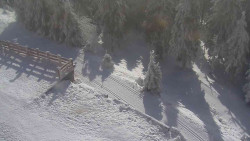 Přístup na běžeckou trať