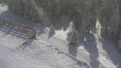 Přístup na běžeckou trať