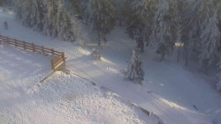 Přístup na běžeckou trať