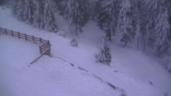 Přístup na běžeckou trať