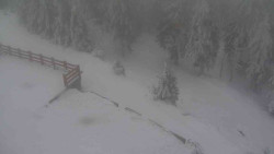 Přístup na běžeckou trať