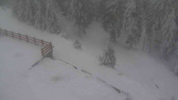 Přístup na běžeckou trať