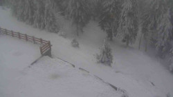 Přístup na běžeckou trať