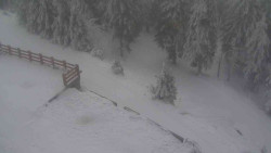 Přístup na běžeckou trať