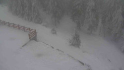 Přístup na běžeckou trať