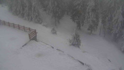 Přístup na běžeckou trať