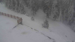 Přístup na běžeckou trať