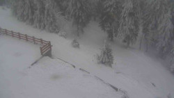 Přístup na běžeckou trať