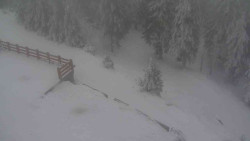 Přístup na běžeckou trať