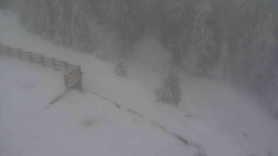 Přístup na běžeckou trať