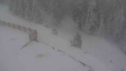 Přístup na běžeckou trať