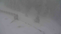 Přístup na běžeckou trať