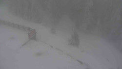 Přístup na běžeckou trať