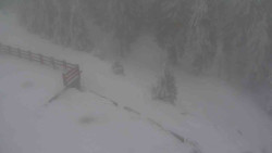 Přístup na běžeckou trať