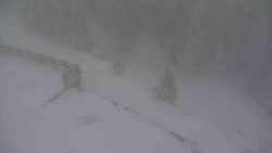 Přístup na běžeckou trať