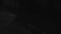 Přístup na běžeckou trať