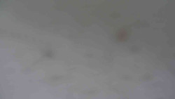 Přístup na běžeckou trať