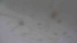 Přístup na běžeckou trať