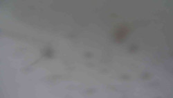 Přístup na běžeckou trať