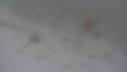 Přístup na běžeckou trať