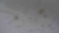 Přístup na běžeckou trať