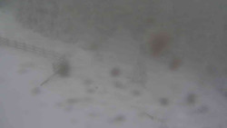 Přístup na běžeckou trať