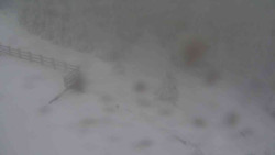 Přístup na běžeckou trať