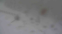 Přístup na běžeckou trať