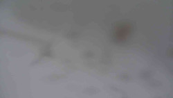 Přístup na běžeckou trať