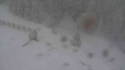 Přístup na běžeckou trať