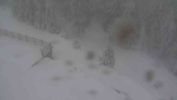 Přístup na běžeckou trať