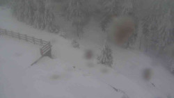 Přístup na běžeckou trať