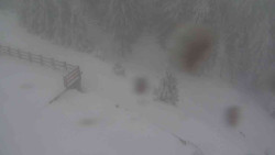 Přístup na běžeckou trať