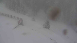 Přístup na běžeckou trať