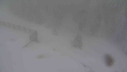 Přístup na běžeckou trať