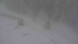 Přístup na běžeckou trať