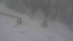 Přístup na běžeckou trať