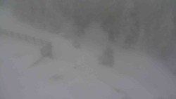 Přístup na běžeckou trať