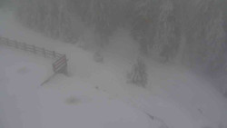 Přístup na běžeckou trať