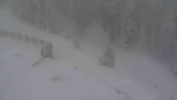 Přístup na běžeckou trať