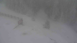 Přístup na běžeckou trať