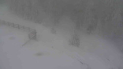 Přístup na běžeckou trať