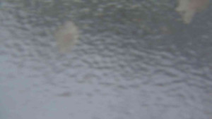 Sporthotel Kurzovní - Přístup na běžeckou trať - 4.2.2026 v 07:30 Sporthotel Kurzovní - Přístup na běžeckou trať - 4.2.2026 v 07:30