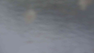 Sporthotel Kurzovní - Přístup na běžeckou trať - 4.2.2026 v 07:35 Sporthotel Kurzovní - Přístup na běžeckou trať - 4.2.2026 v 07:35