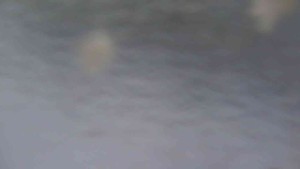 Sporthotel Kurzovní - Přístup na běžeckou trať - 4.2.2026 v 07:40 Sporthotel Kurzovní - Přístup na běžeckou trať - 4.2.2026 v 07:40